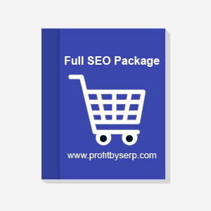 Full SEO Monthly package